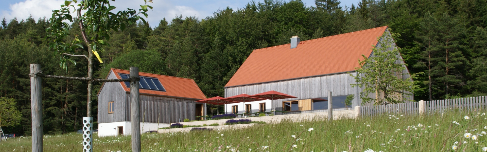 Habsberg3