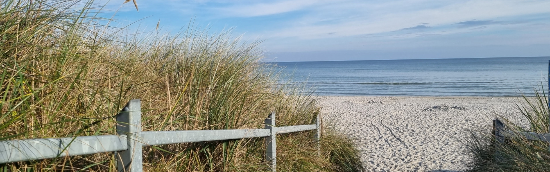 Lehrfahrt2025 Rügen2